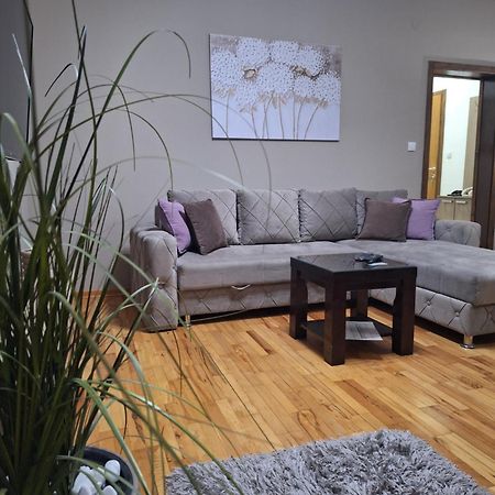 Apartmani Radulovic Vrnjačka Banja Oda fotoğraf