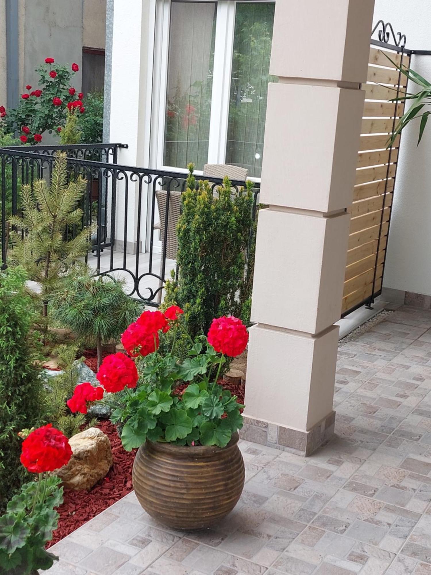 Apartmani Radulovic Vrnjačka Banja Oda fotoğraf