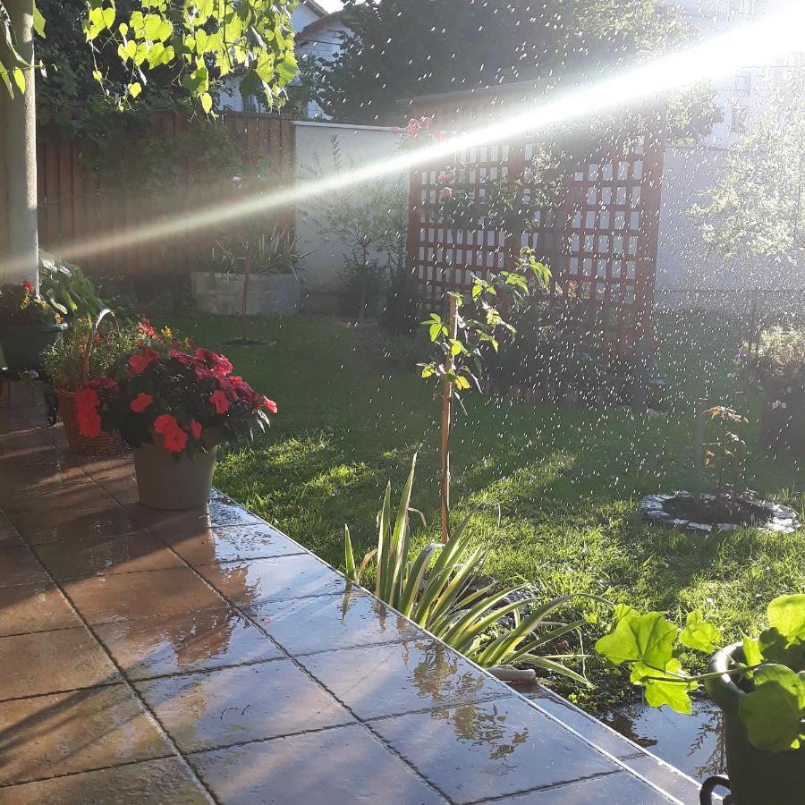 Apartmani Radulovic Vrnjačka Banja Dış mekan fotoğraf